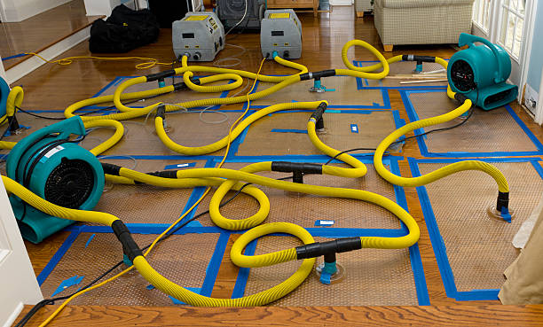 Professional Basement Flood Cleanup technician working in Bass Harbor, ME